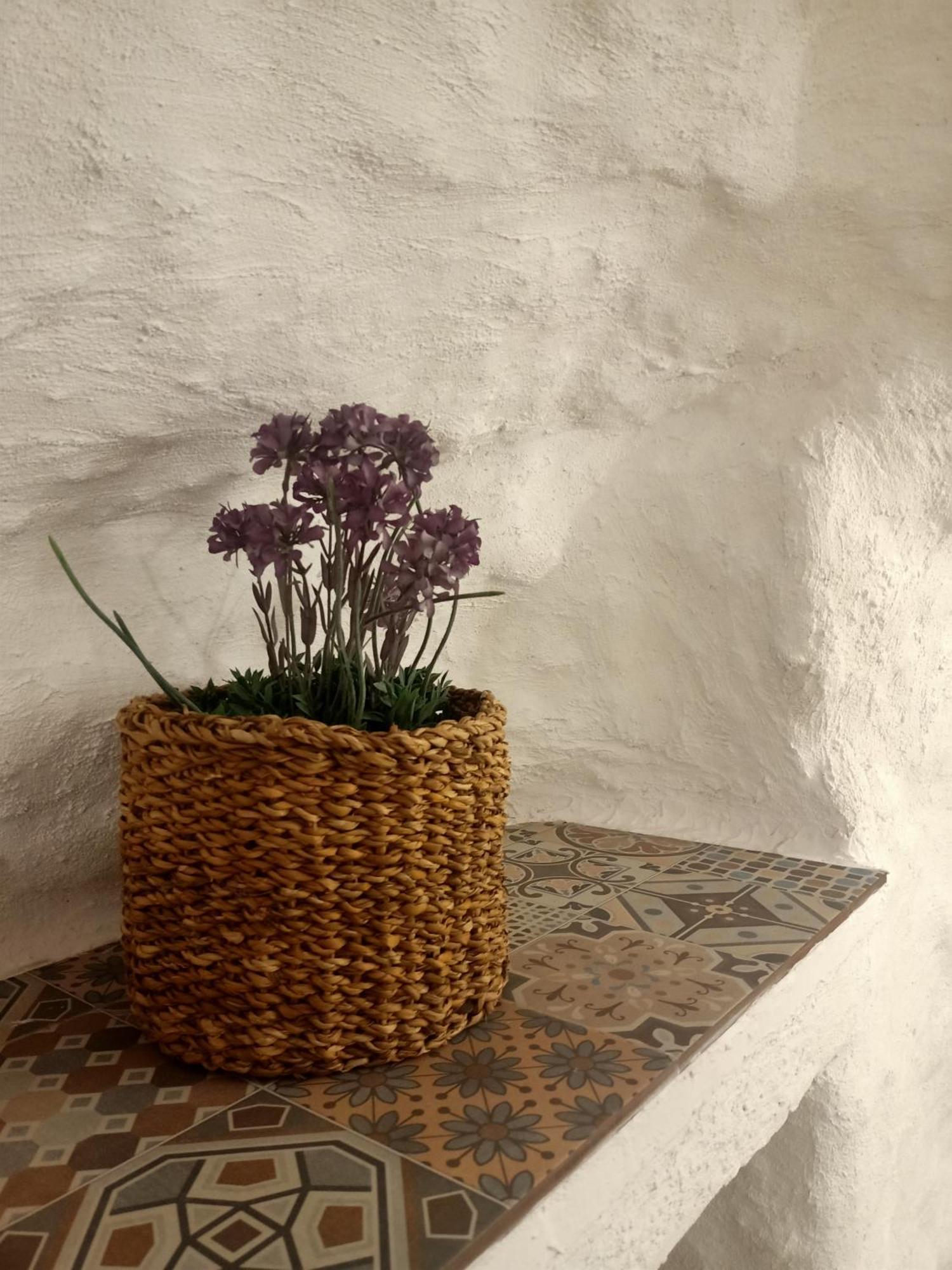 فيلا Casa Cueva La Parra. Terque المظهر الخارجي الصورة
